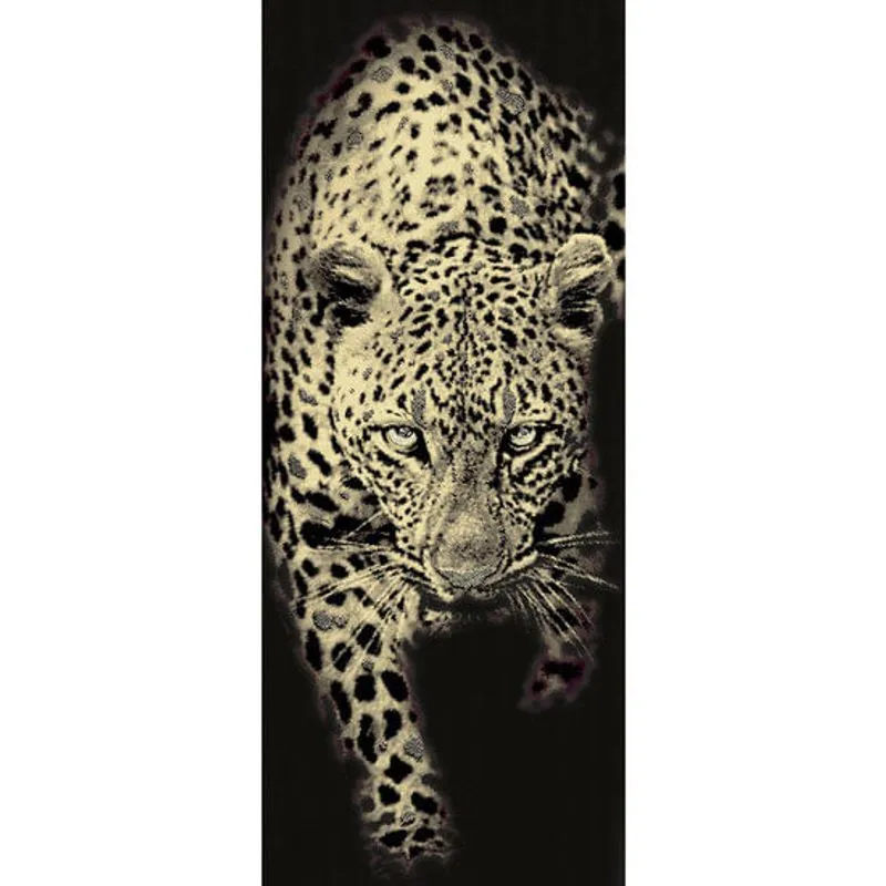 Faixa Roberto Cavalli Home RC 13066