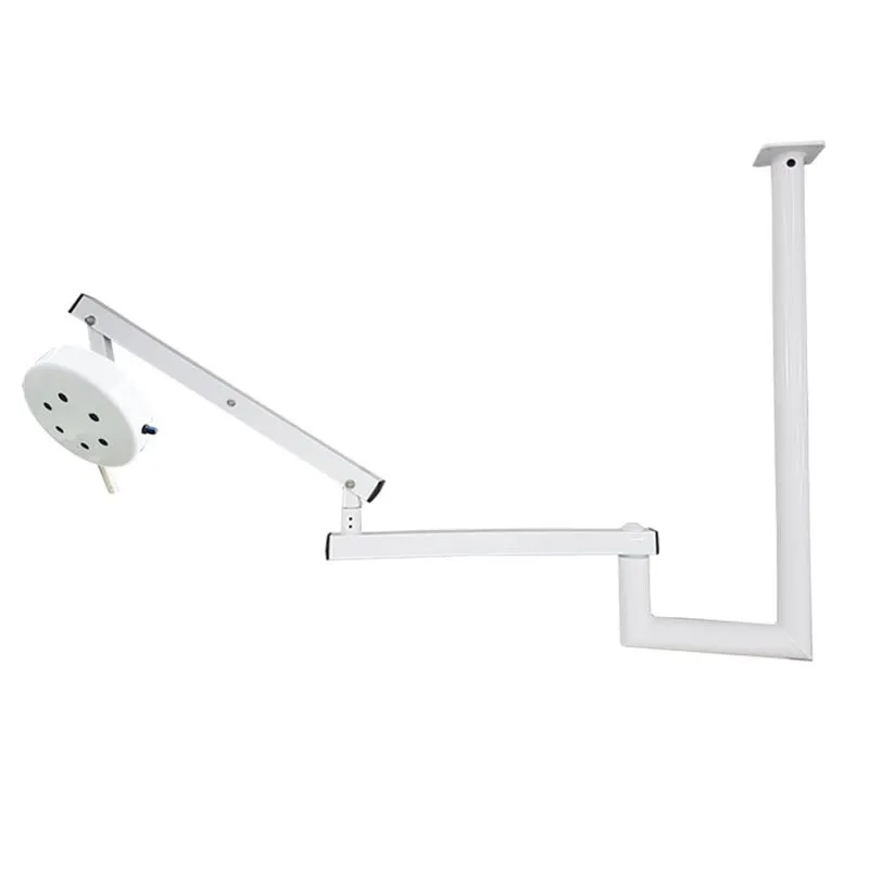 Foco Cirúrgico Veterinário 6 Leds Teto - Deltalife