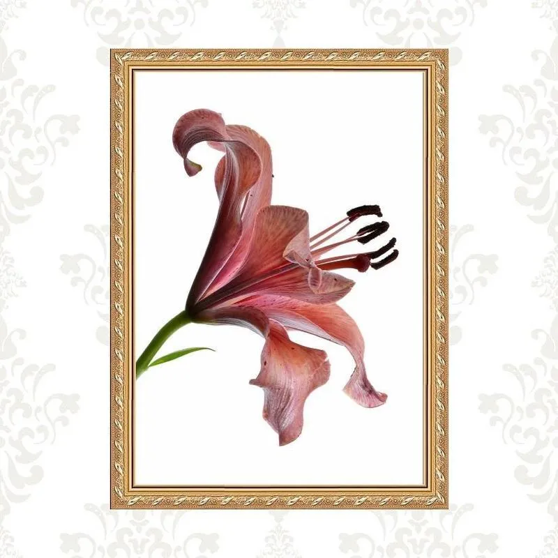 Quadro Moldura Dourada Flor Nuances Bordô 45X34Cm