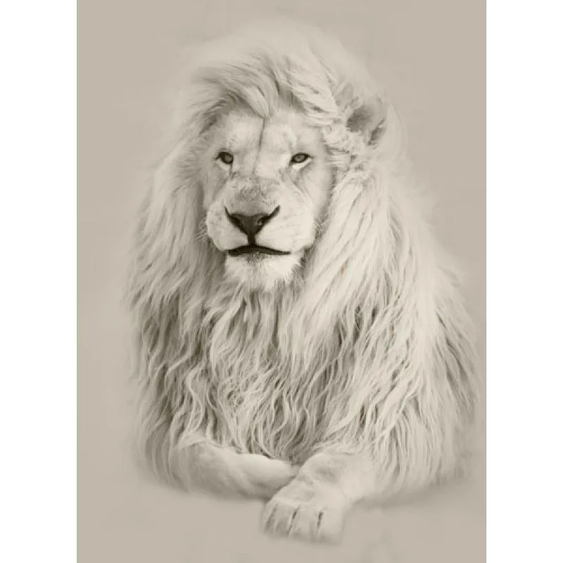Quadro Decorativo em Canvas Leão Branco madeira Escura