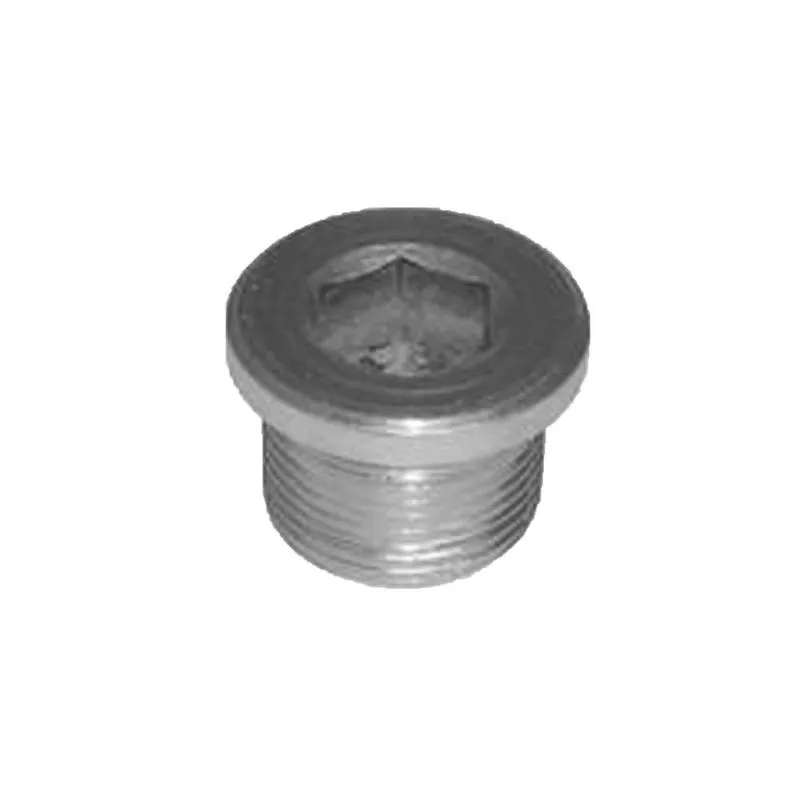 Bujao Cubo Redutor 24x1,5mm 6249970032 Mbb Axor 5 Pcs