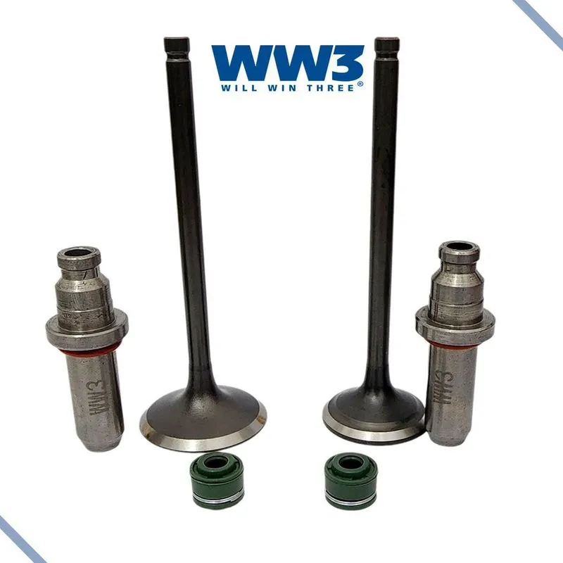 Kit Válvula Admissão Escape Honda Cbx 200 Strada Guias Reten
