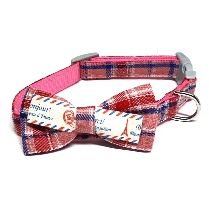Coleira Para Cães Pequeno Porte