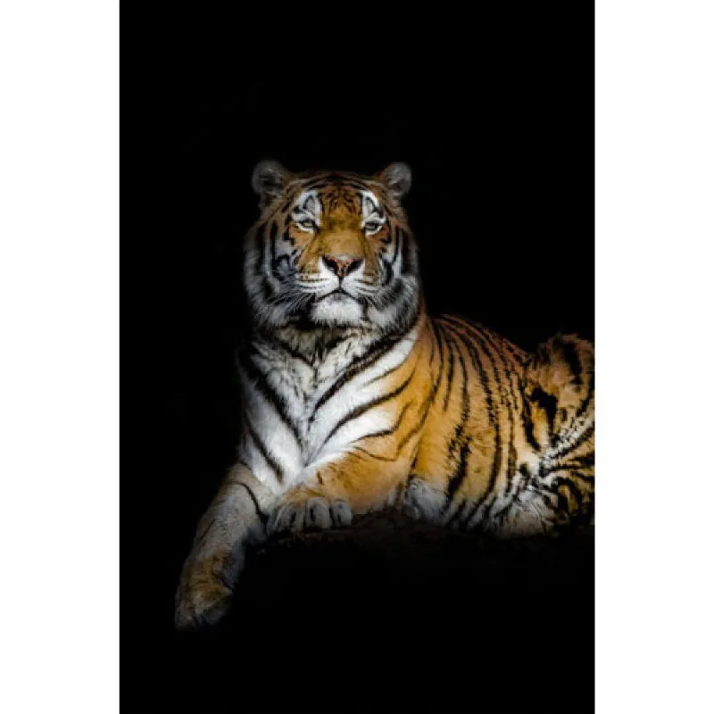 Quadro Decorativo em Canvas Tigre 3 madeira Clara 130 X 86