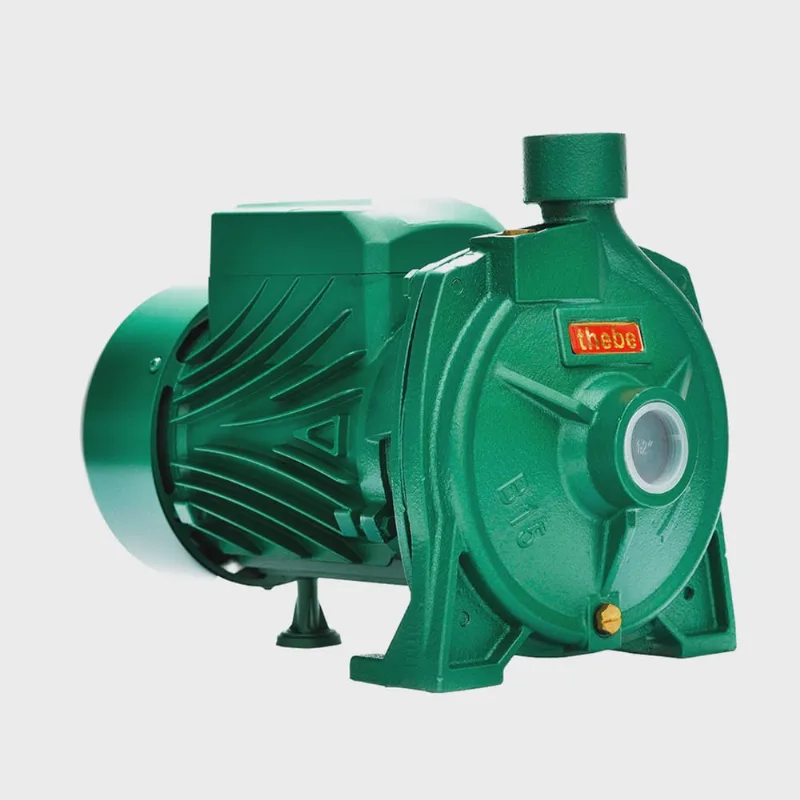 Bomba Monoestágio B-15 2,0 Cv Motor Monofásico Ip44 127/220v