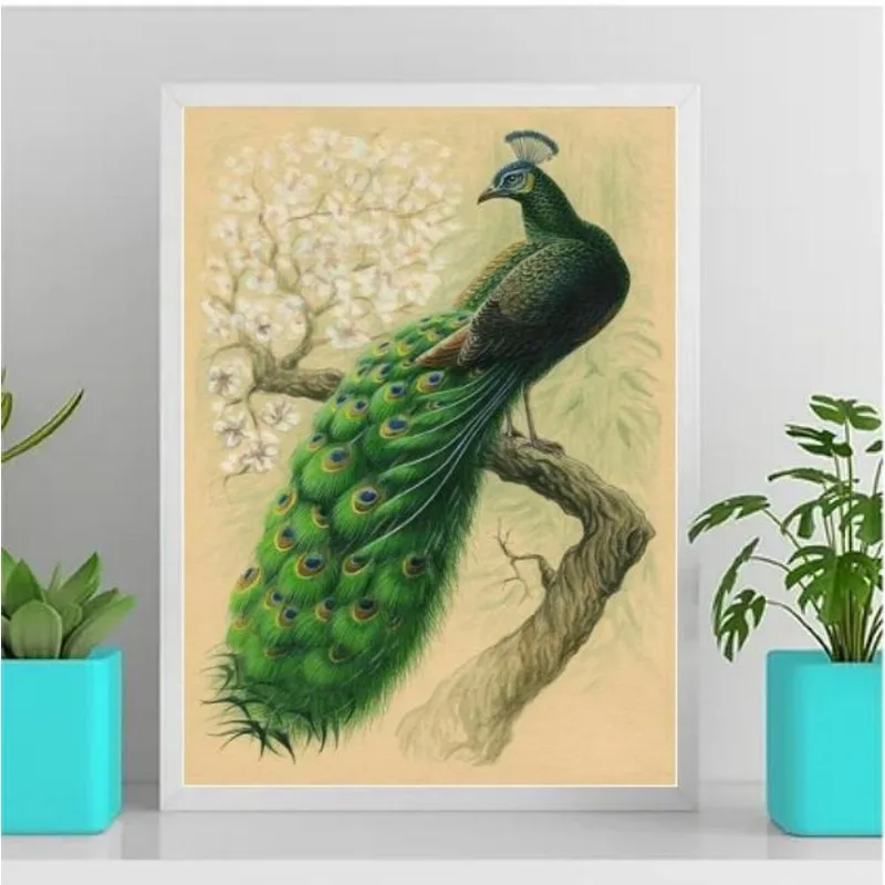 Quadro Decorativo Pássaro Pavão 45x34cm Branca