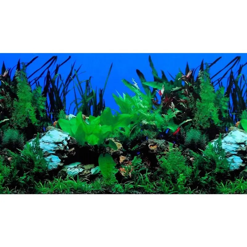 Painel Para Aquário Fundo Azul E Plantas 30Cm X 100Cm Pp-081