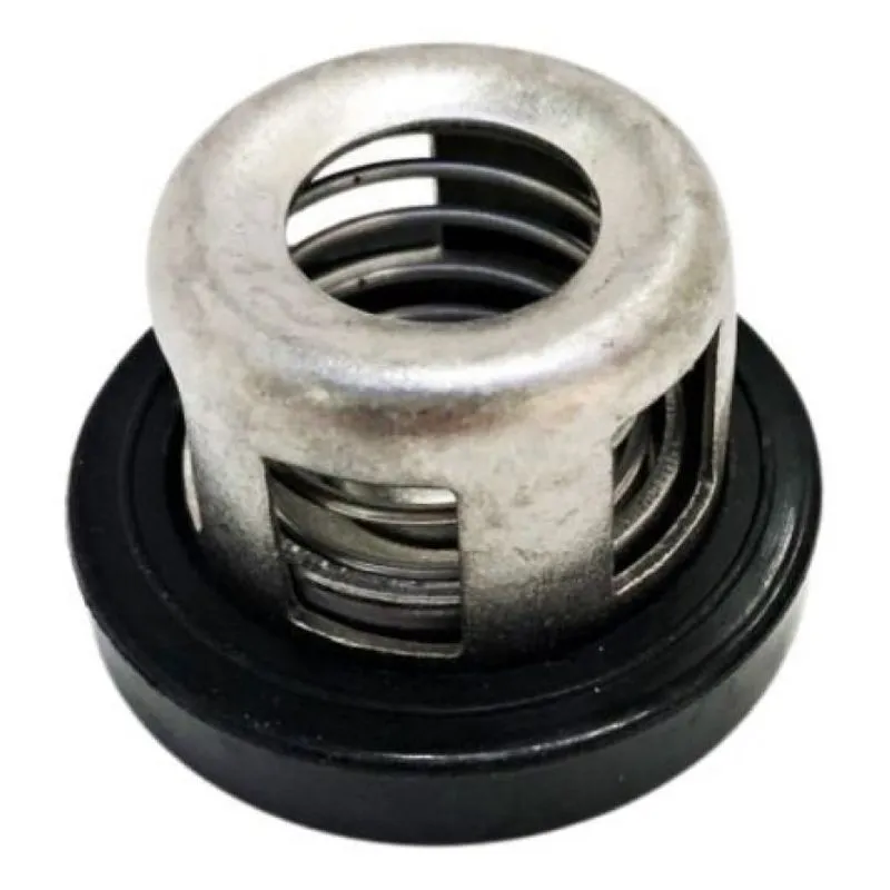 Valvula Bomba Kawashima S120