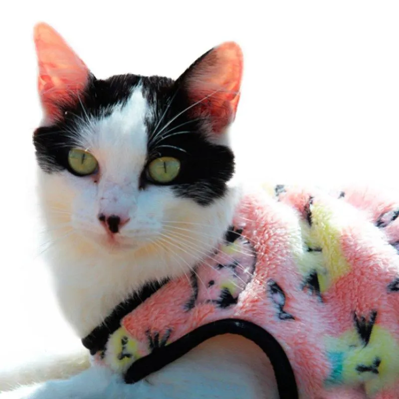 Agasalho My Dream Cat - Tam. G