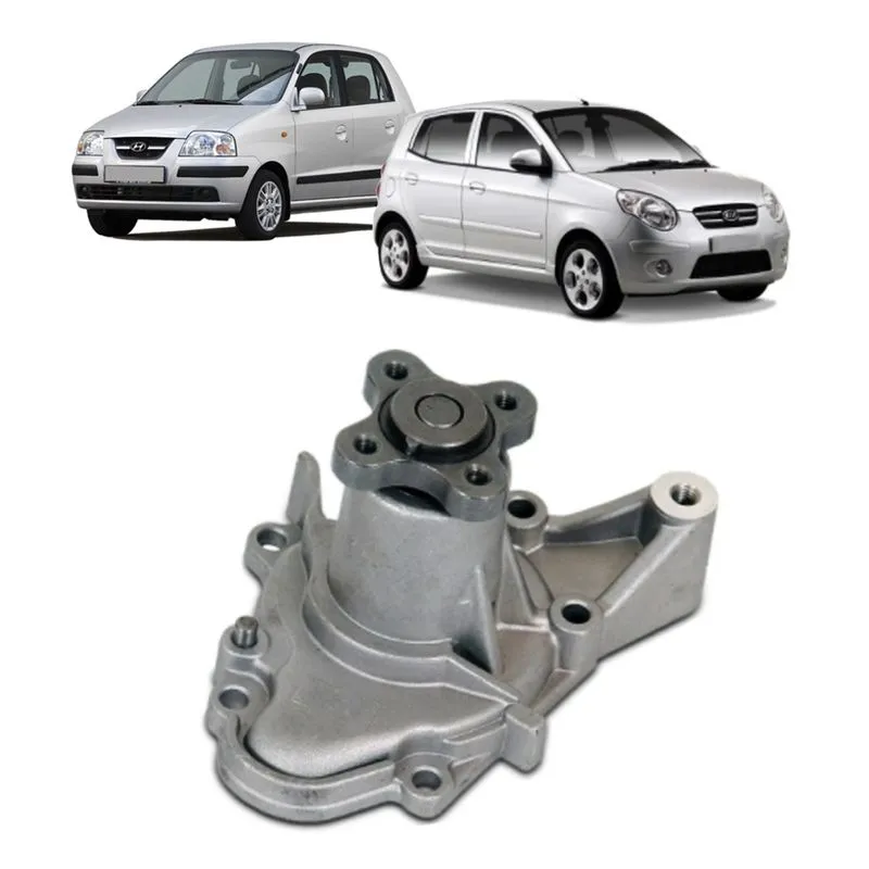 Bomba D'água Hyundai Atos/kia Picanto Swp100 Starke
