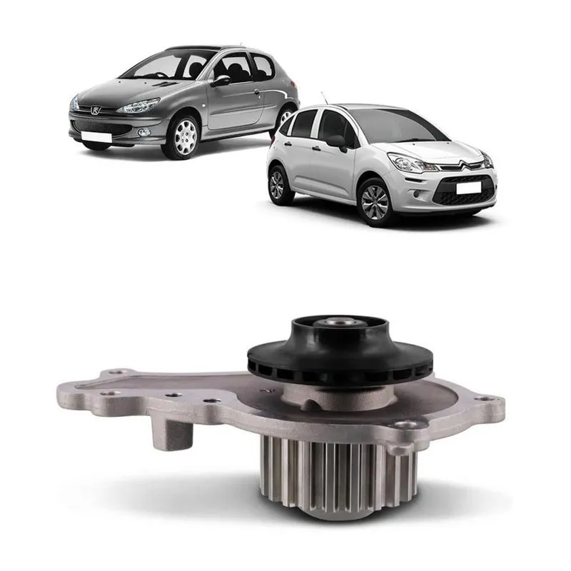 Bomba D'água Citroen C3/peugeot 206 Swp192 Starke