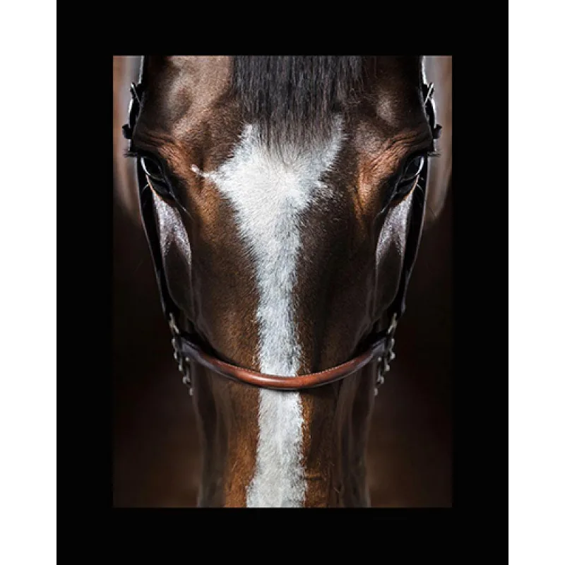 Quadro Decorativo em Canvas Rosto Cavalo na Armação
