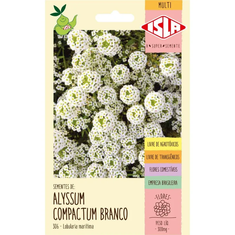 Sementes De Alyssum Branco Flor De Mel 20 Envelopes
