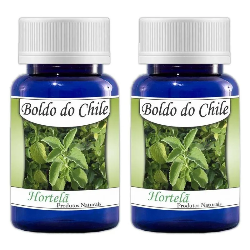 Boldo do Chile Kit 2 un sem Sabor