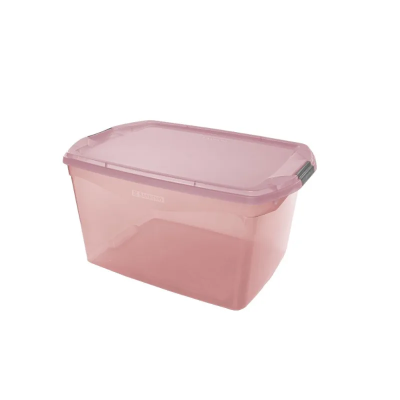 Organizador Medio Plástico Rosa Sanremo 68 L