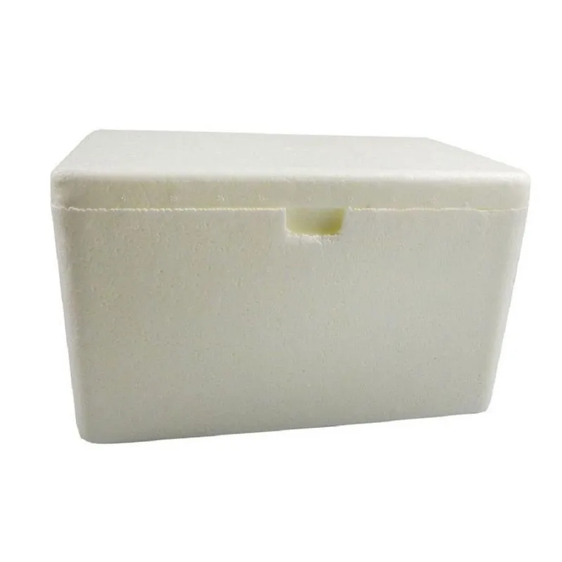 Caixa Térmica Isopor 5 Litros Fort Box