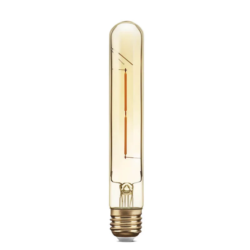 Lâmpada de Filamento de Carbono T30 - 40W 2.000K 220V