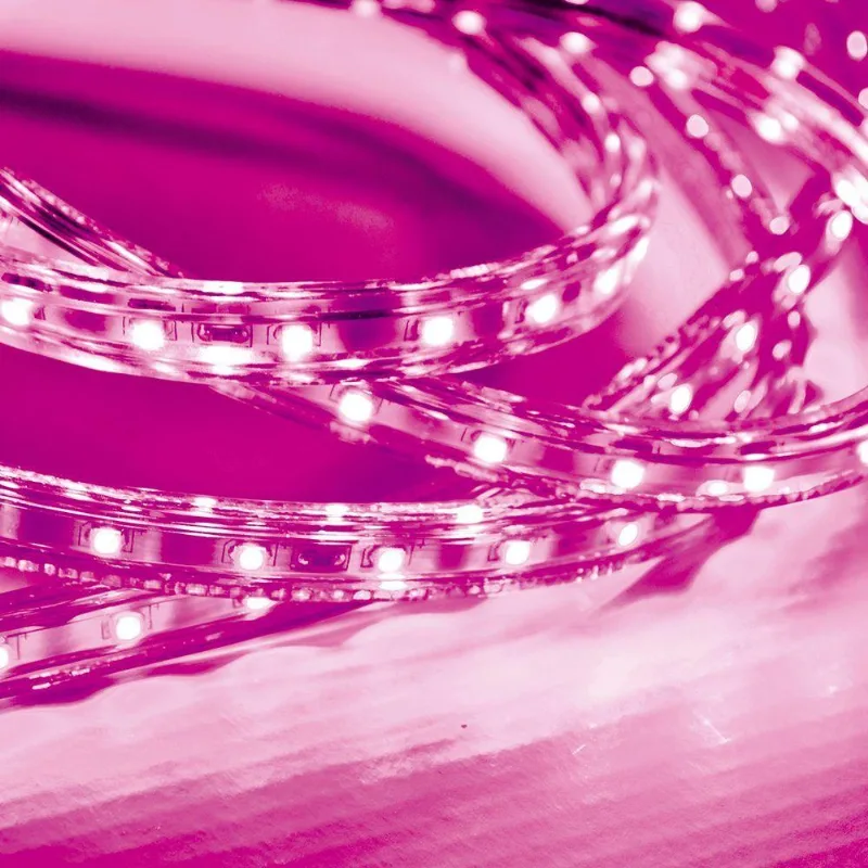 Fita Led Taschibra 5w/m Ip67 220v Alta Proteção Cores Metro Rosa - TASCHIBRA