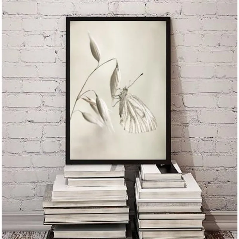 Quadro Decorativo Fotografia Branca Borboleta 45x34cm Vidro