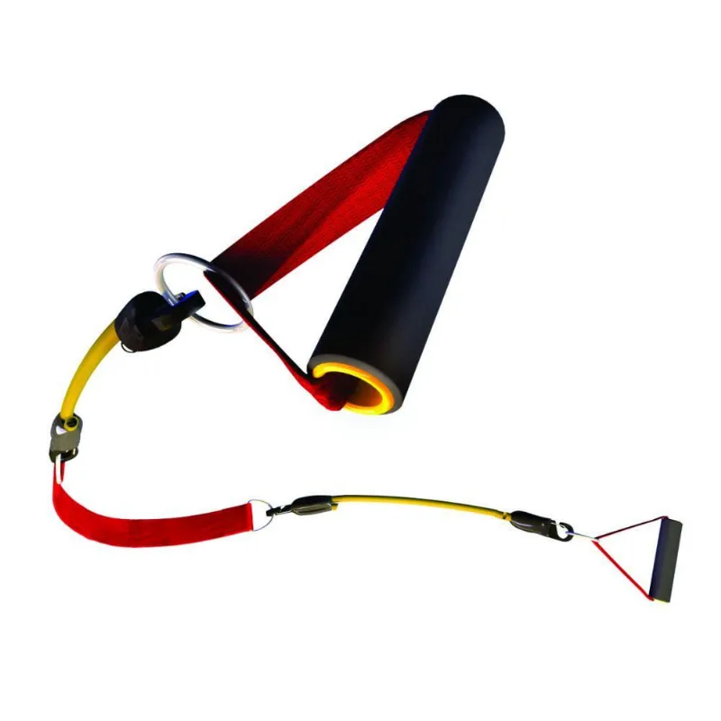 Programa Elastiness Light - Cepall