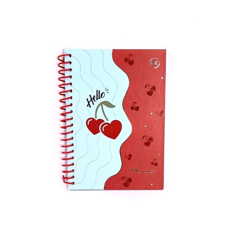 Agenda CD Planner Hello 96FLS 3743 - DAC