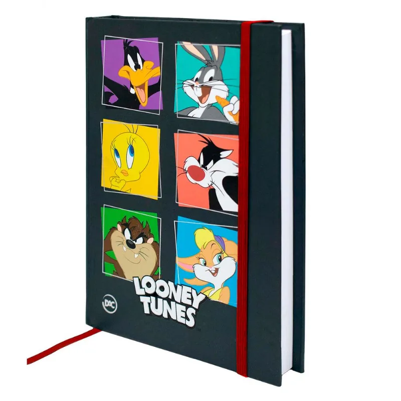 Caderno De Brochura Looney Tunes Com 336 Páginas Dac