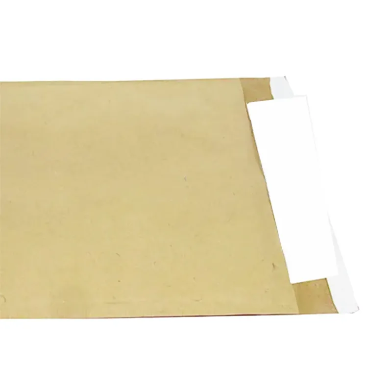 Envelope Kraft 25X35 C/ Prote��o Plastico Bolha Radex C/6 Radex