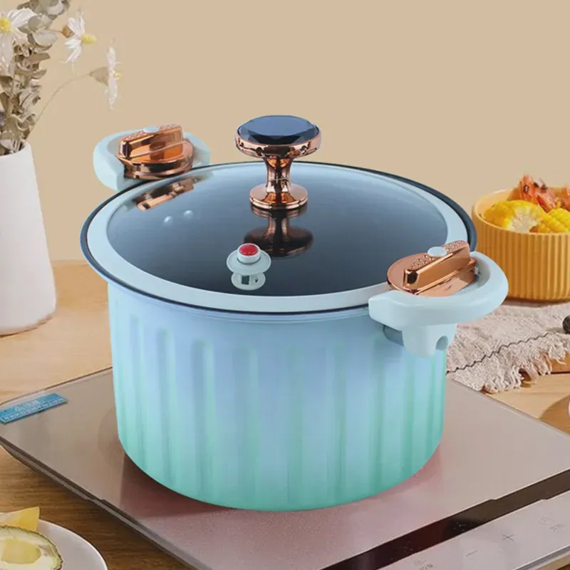 Micro Panela de Pressão com Tampa e Alça, Panela de Cozimento para Arroz, Sopa, Macarrão, Frango, Indução a Gás, 12L