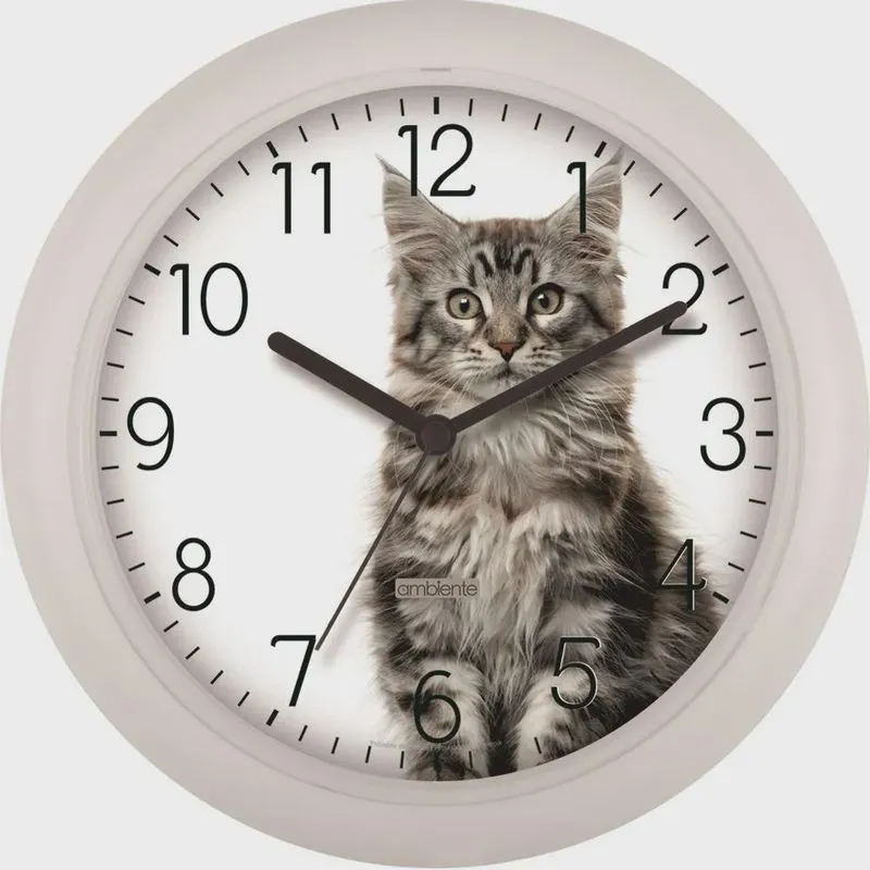 Relógio De Parede Ambiente Branco Gato