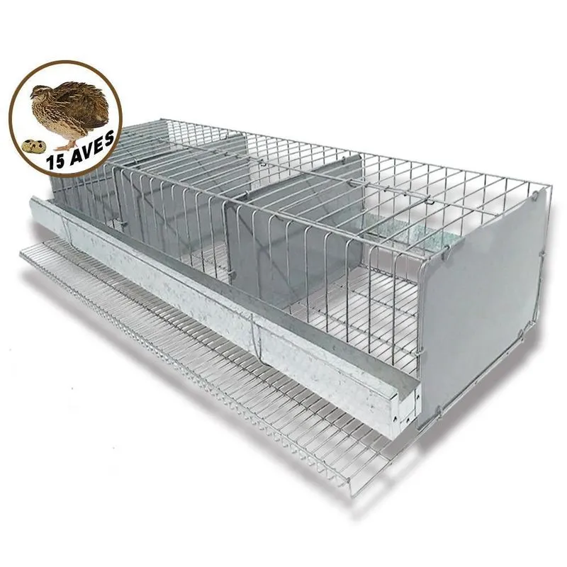 Gaiola Para Codorna Completa - Criar/produzir Ovos 3 Divisão