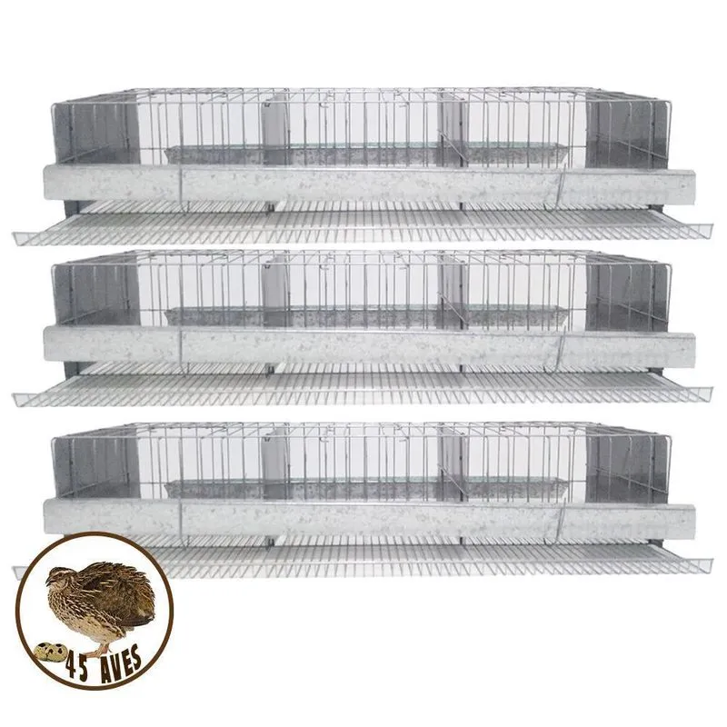 Gaiola Codorna Tipo Bateria Produzir Ovos Diários - Kit 3und