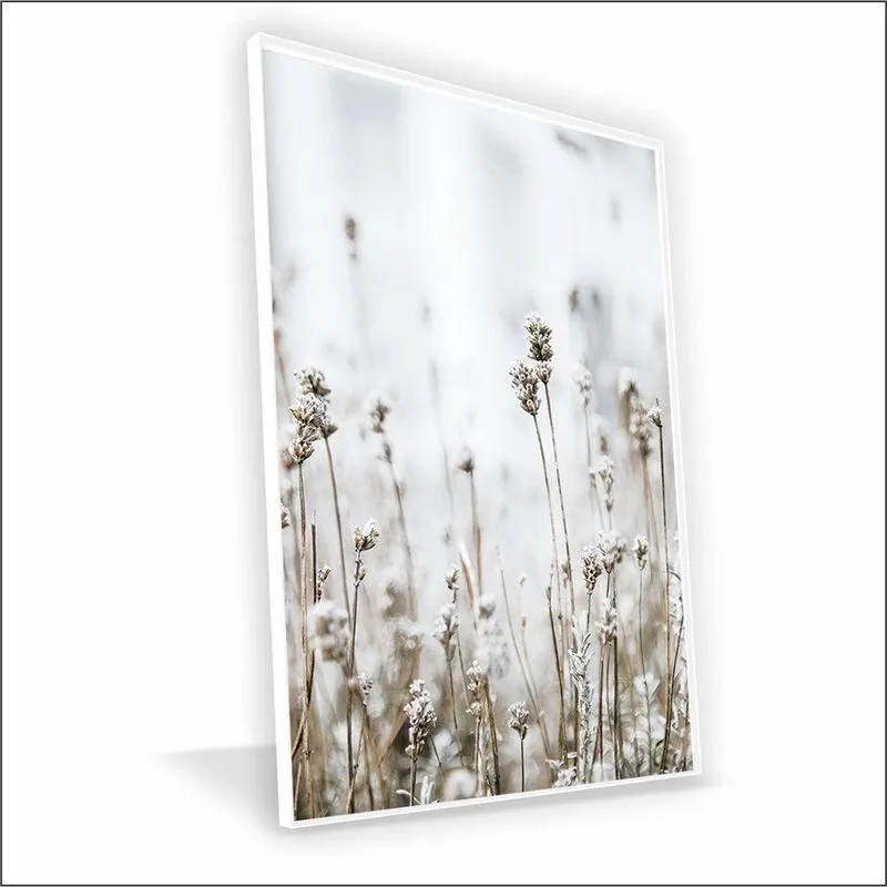Quadro Gipsofila Vinil Sem Vidro Tamanho/moldura 20x30 Caixa Cor Branca