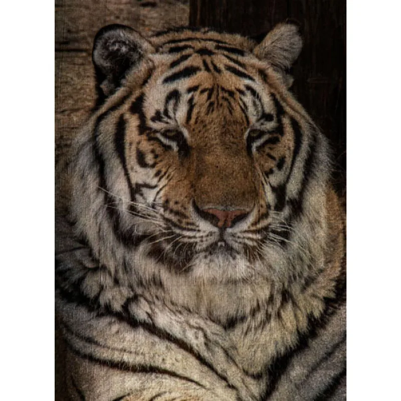 Quadro Decorativo em Canvas Tigre preta 90 X 65,45