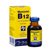 FERRO + B12 100ML BRAVET