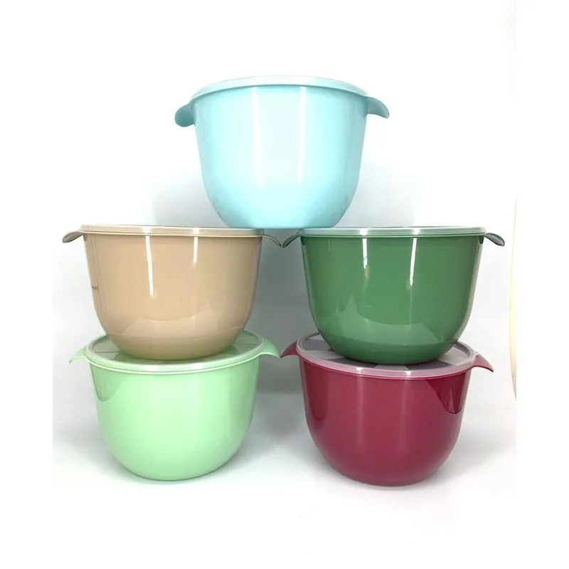 Bacia com Tampa Inplast 2,5L - Tam. P