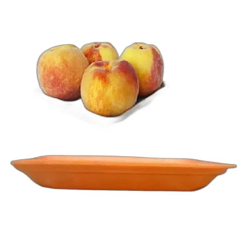 400 Bandeja De Isopor Laranja - B01 Rasa 15x15x1,8cm (1pct)