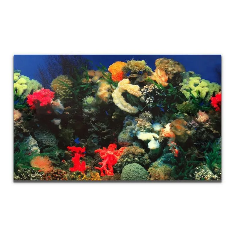 Painel Aquários Fundo Azul E Plantas 50Cm X 200Cm Pp-088