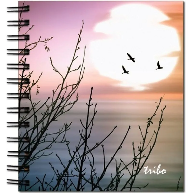 AGENDA 2016/2017 - LIVRO DA TRIBO - METALIZADO - POR DO SOL