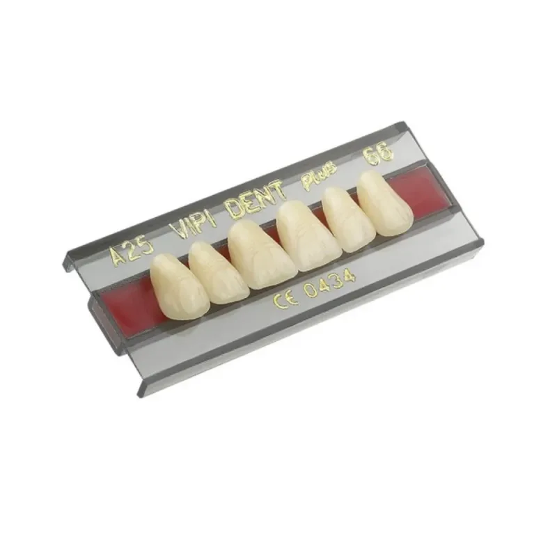 Dente 3D Inferior 69 Vipi Dent