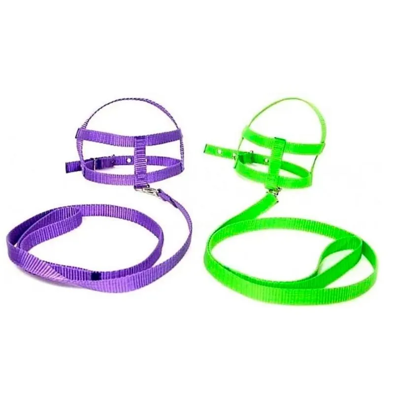 Peiteira Com Guia De Nylon Seda Para Cão Color - Imbicouros, Tamanho: 3