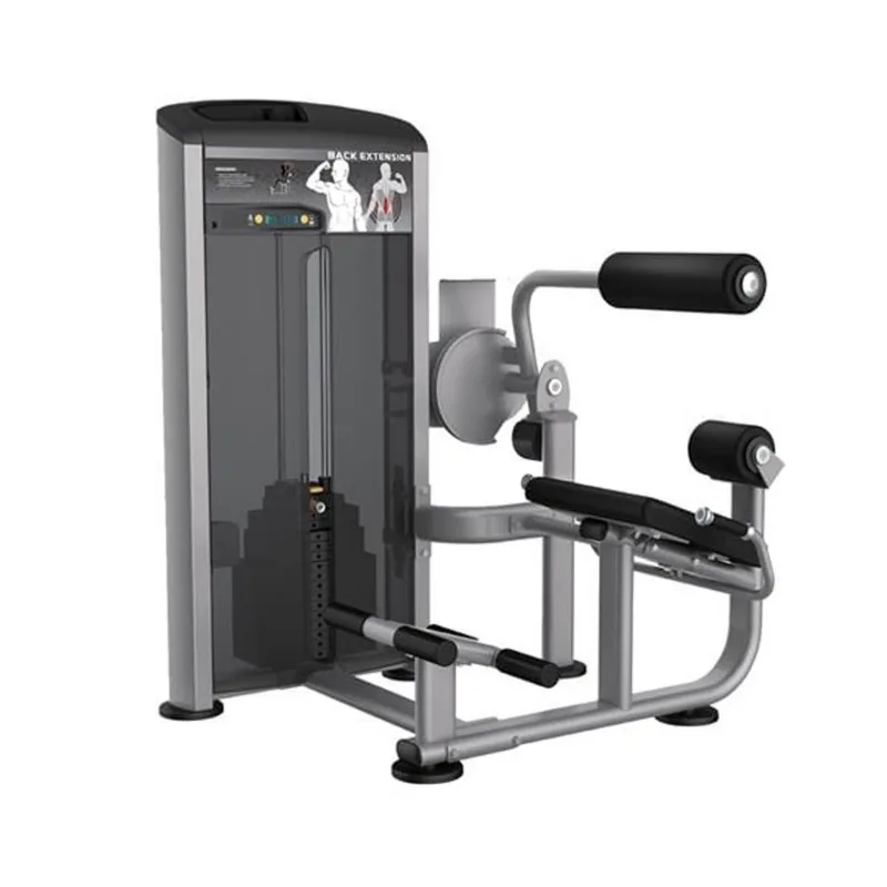 Back Extension 200 LBS (90KG) Wellness - EM046 EM046