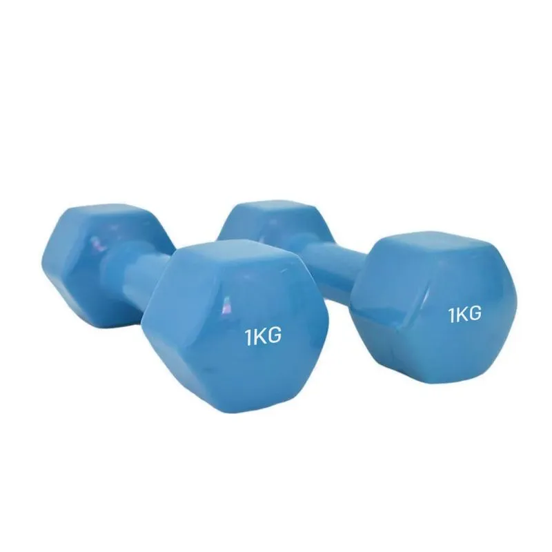 Par Halteres Vinil Hexagonal 1 Kg (Total 2 Kg) Wellness - WK092 WK092