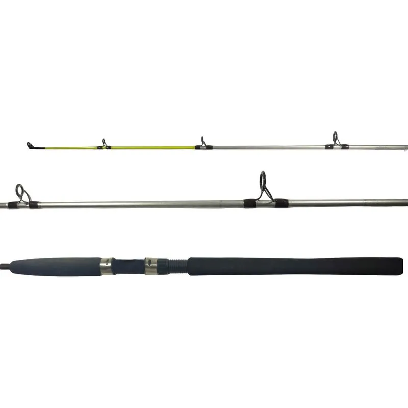 Vara Pesca Molinete Marine Sports Laguna 2 S601H 1,83M 20-40 Lbs Fibra de Vidro