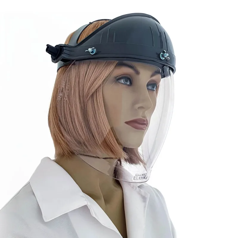 Protetor Facial Apolo Bolha Com Catraca Master CA 12376