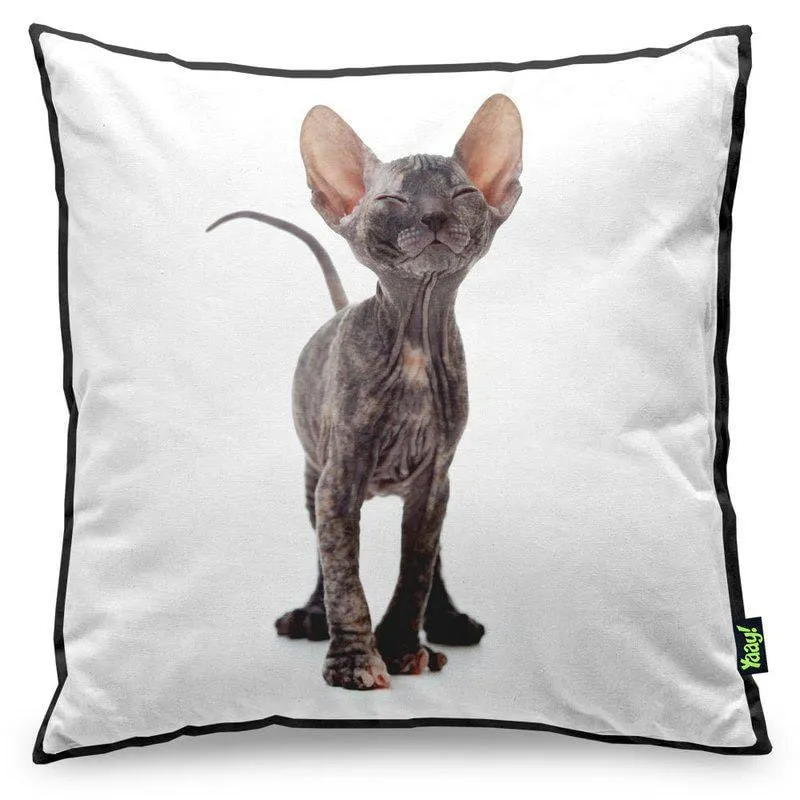 Almofada Love Cats Black Edition - Hairless Sphynx