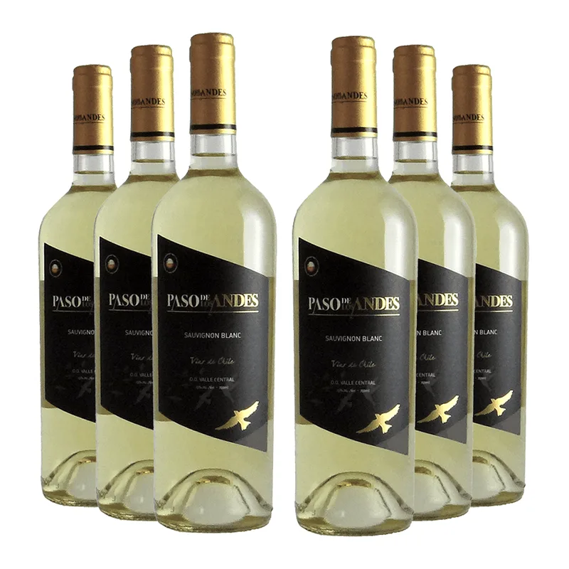 Vinho Paso De Los Andes Sauvignon Blanc 750ml - 6 Unidades