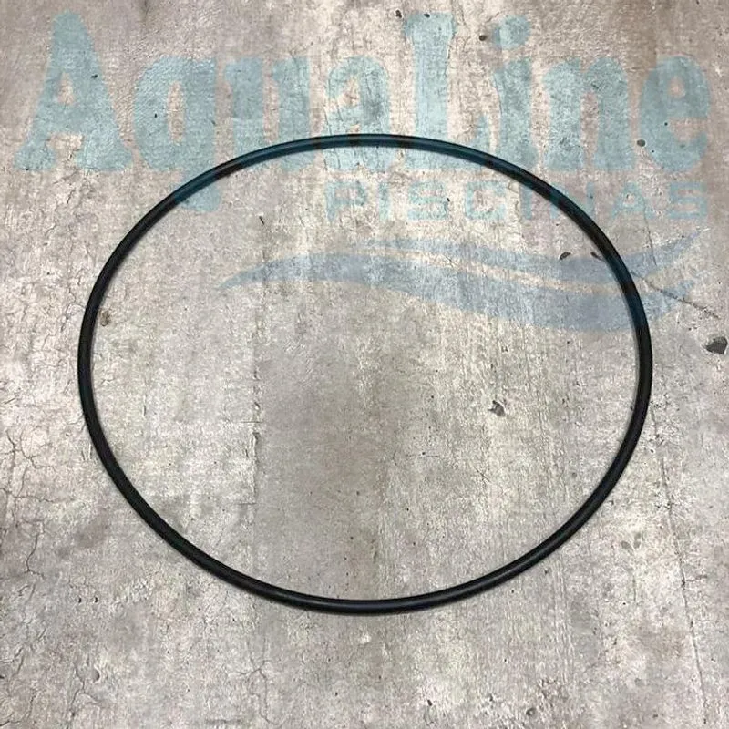 Oring Veico Bracket 2.258 - Vedação Bomba