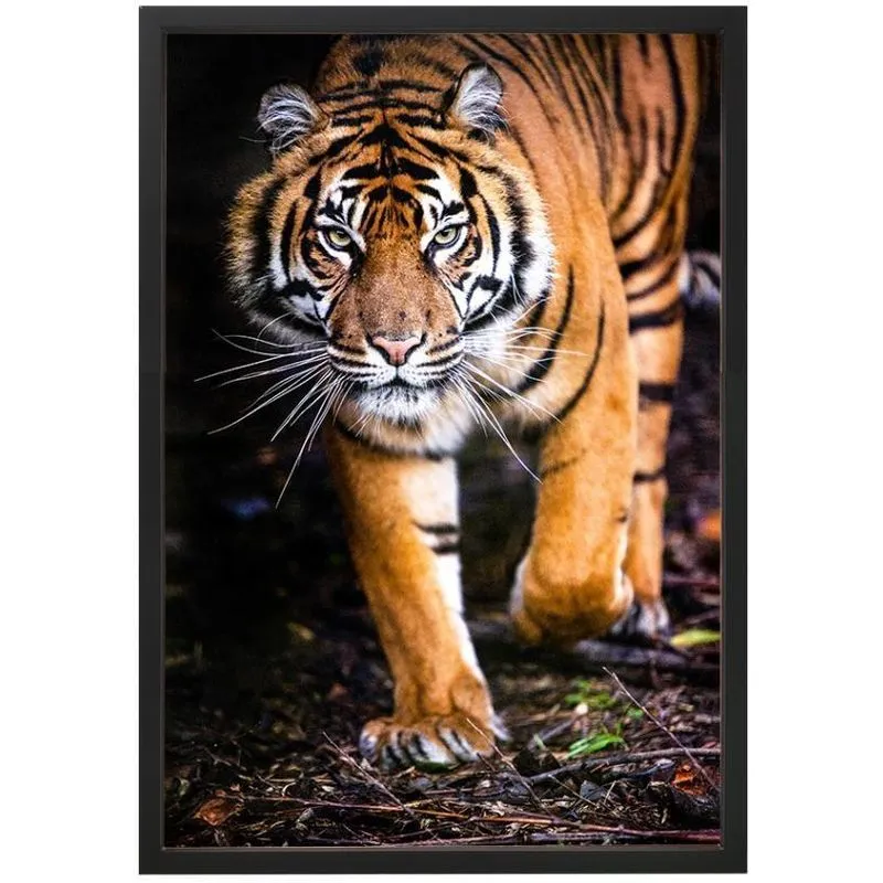 Quadro Decorativo Arte Própria Rei De Listras 70x100cm