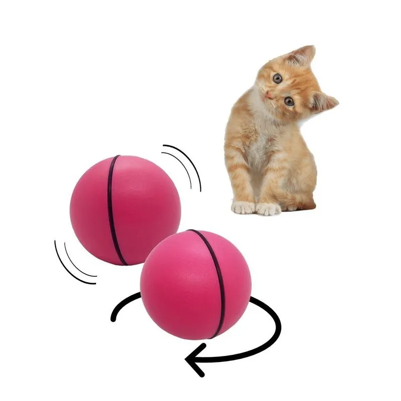 Brinquedo Pet Bola Magica Interativa Rola Sozinha Cão Gato