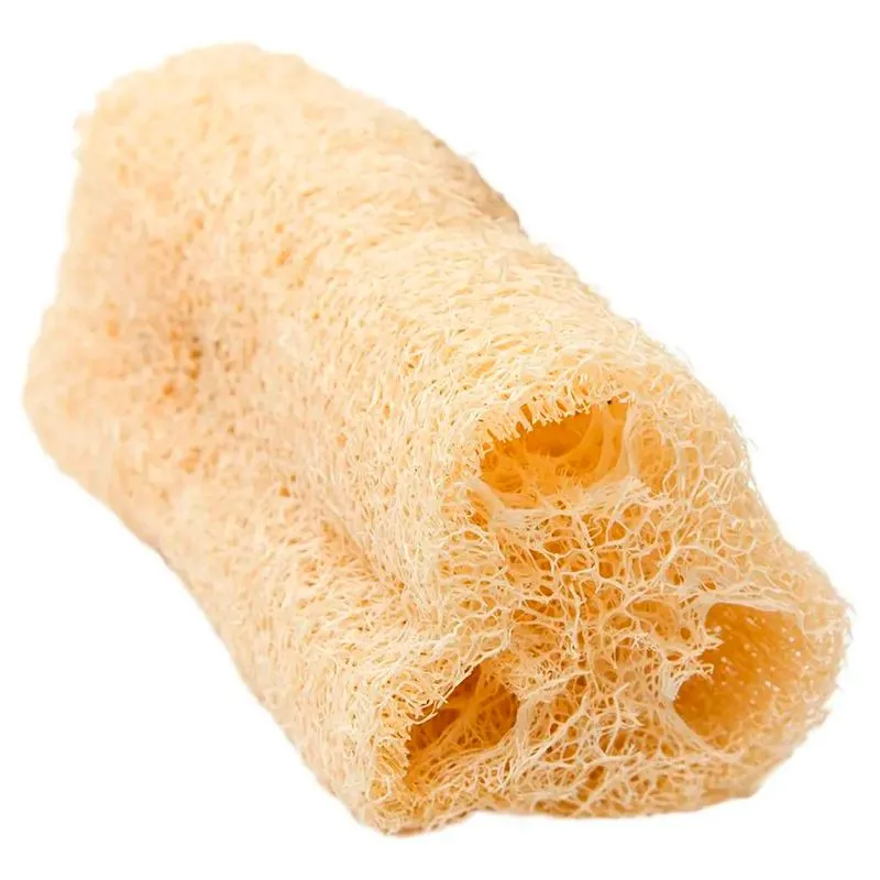 6 Esponjas Bucha Pequena Vegetal Natural P/banho Esfoliação